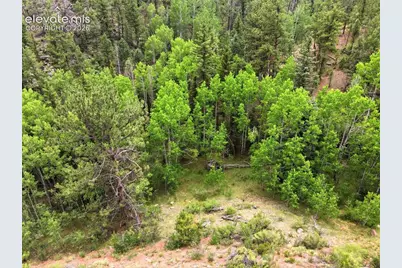 1310 Park Ridge Drive, Guffey, CO 80820 - Photo 30