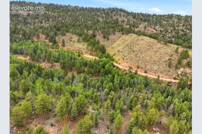 1310 Park Ridge Drive, Guffey, CO 80820 - Photo 2
