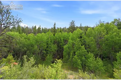 1310 Park Ridge Drive, Guffey, CO 80820 - Photo 18