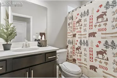 10409 Crystal Lake Court, Colorado Springs, CO 80924 - Photo 34