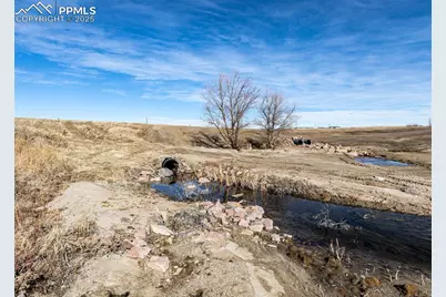 20533 Blue Springs View, Peyton, CO 80831 - Photo 8