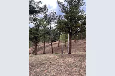 305 &amp; 281 Midnight Lane, Florissant, CO 80816 - Photo 30