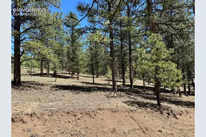 305 &amp; 281 Midnight Lane, Florissant, CO 80816 - Photo 18