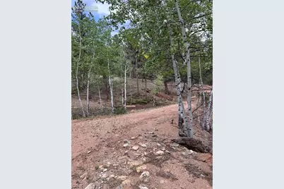 305 &amp; 281 Midnight Lane, Florissant, CO 80816 - Photo 20