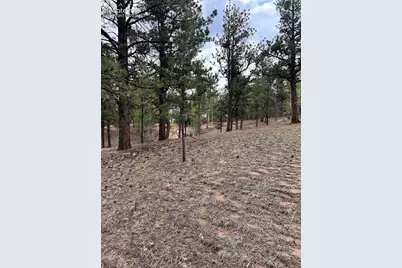 305 &amp; 281 Midnight Lane, Florissant, CO 80816 - Photo 28