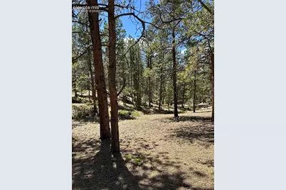 305 &amp; 281 Midnight Lane, Florissant, CO 80816 - Photo 10