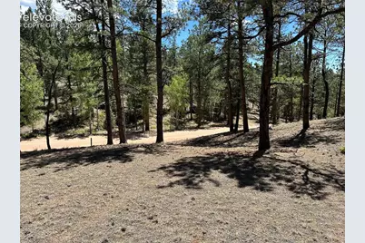 305 &amp; 281 Midnight Lane, Florissant, CO 80816 - Photo 12
