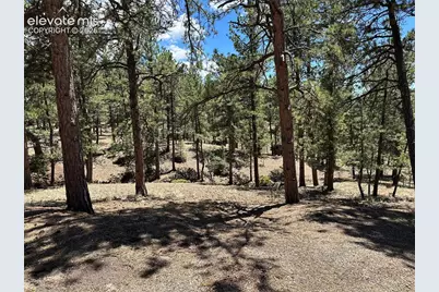 305 &amp; 281 Midnight Lane, Florissant, CO 80816 - Photo 14