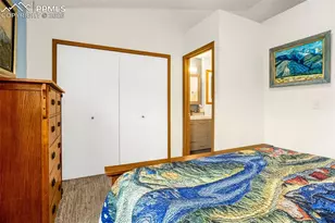 2508 Blazek Loop, Colorado Springs, CO 80918 - Photo 10