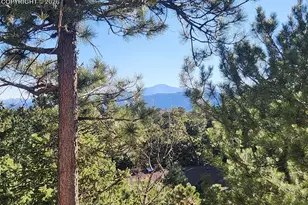 19340 Shadowood Dr, Monument, CO 80132 - Photo 40