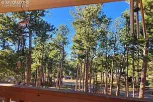 19340 Shadowood Dr, Monument, CO 80132 - Photo 8