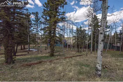 571 Will Scarlet Drive, Divide, CO 80814 - Photo 2