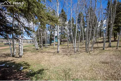 571 Will Scarlet Drive, Divide, CO 80814 - Photo 6