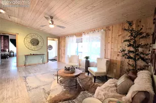 891 S Mountain Estates Rd, Florissant, CO 80816 - Photo 10
