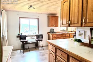 891 S Mountain Estates Rd, Florissant, CO 80816 - Photo 18