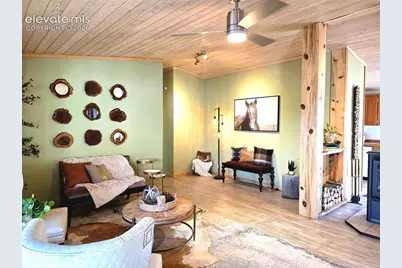 891 S Mountain Estates Road, Florissant, CO 80816 - Photo 8