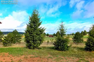 891 S Mountain Estates Rd, Florissant, CO 80816 - Photo 50