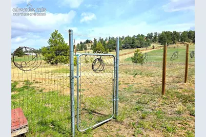 891 S Mountain Estates Road, Florissant, CO 80816 - Photo 36