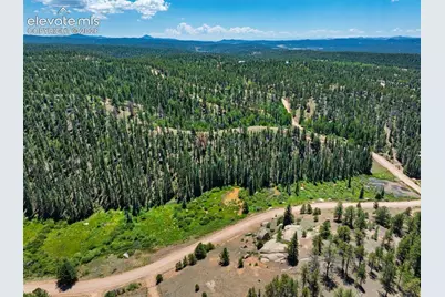 404 Morning Star Creek Trail, Florissant, CO 80816 - Photo 26