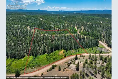 404 Morning Star Creek Trail, Florissant, CO 80816 - Photo 24