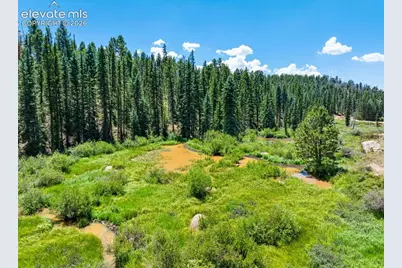 404 Morning Star Creek Trail, Florissant, CO 80816 - Photo 10
