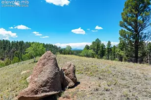 404 Morning Star Creek Trail, Florissant, CO 80816 - Photo 1