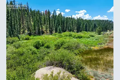 404 Morning Star Creek Trail, Florissant, CO 80816 - Photo 8