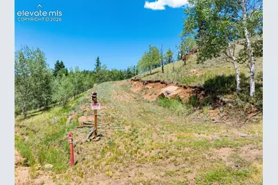 404 Morning Star Creek Trail, Florissant, CO 80816 - Photo 2