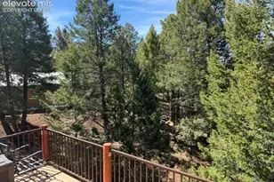 269 Southpark Rd, Florissant, CO 80816 - Photo 28