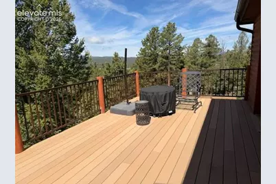 269 Southpark Road, Florissant, CO 80816 - Photo 28