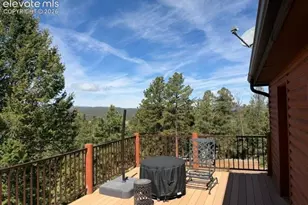 269 Southpark Rd, Florissant, CO 80816 - Photo 30