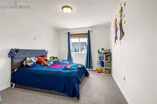 11159 Fossil Dust Dr, Colorado Springs, CO 80908 - Photo 20