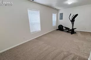 5551 Sunshade Point, Colorado Springs, CO 80923 - Photo 24