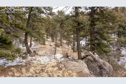 3388-3410 N Mountain Estates Road, Florissant, CO 80816 - Photo 34