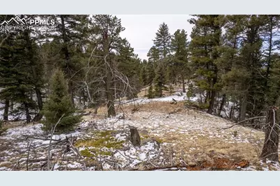 3388-3410 N Mountain Estates Road, Florissant, CO 80816 - Photo 28