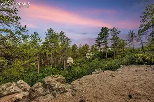 205 Cobblestone Way, Monument, CO 80132 - Photo 40