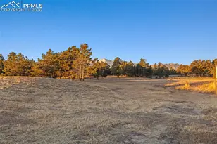 7855 Wildflower Rd, Colorado Springs, CO 80908 - Photo 6