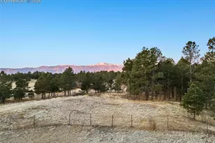 7855 Wildflower Rd, Colorado Springs, CO 80908 - Photo 50