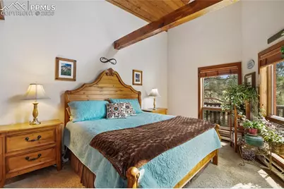 381 Saddleback Creek Drive, Florissant, CO 80816 - Photo 14