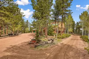 381 Saddleback Creek Dr, Florissant, CO 80816 - Photo 36