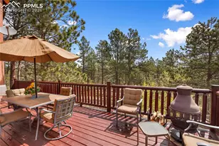381 Saddleback Creek Dr, Florissant, CO 80816 - Photo 26