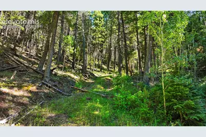 13446 S Firedog Way, Larkspur, CO 80118 - Photo 1