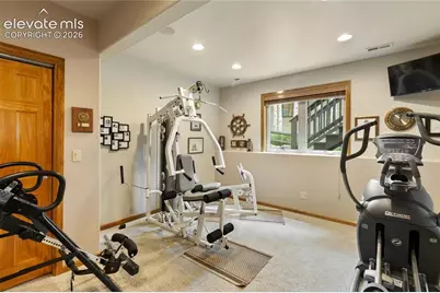 591 Skyline Drive, Woodland Park, CO 80863 - Photo 28