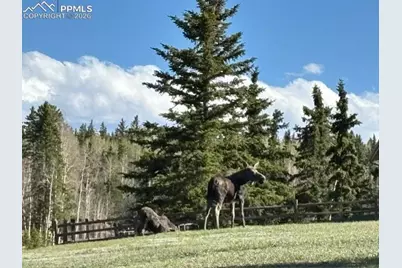 689 Divide South Drive, Divide, CO 80814 - Photo 44