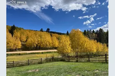 689 Divide South Drive, Divide, CO 80814 - Photo 46