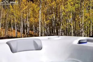 79 Beaver Creek Cir, Florissant, CO 80816 - Photo 24