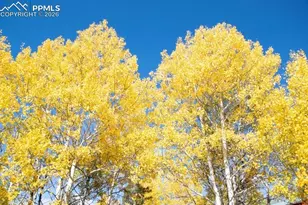 79 Beaver Creek Cir, Florissant, CO 80816 - Photo 26