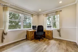 19032 Harrogate Ct, Monument, CO 80132 - Photo 20
