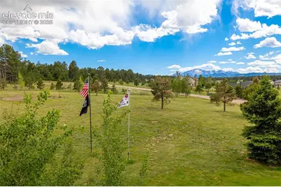 19032 Harrogate Court, Monument, CO 80132 - Photo 46