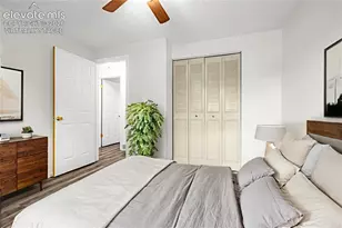4242 Amiable Way, Colorado Springs, CO 80917 - Photo 12